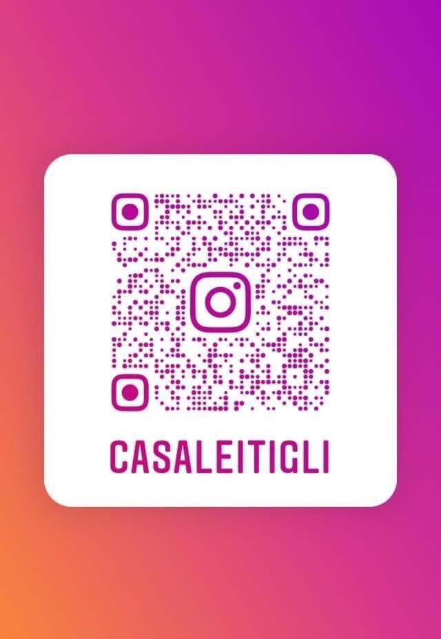 루카 Casale I Tigli B&B 외부 사진